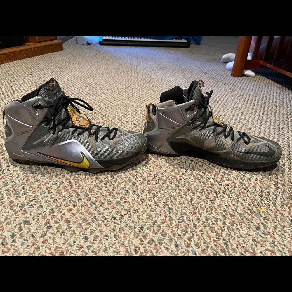 Nike Lebron 12 Flight Shoes